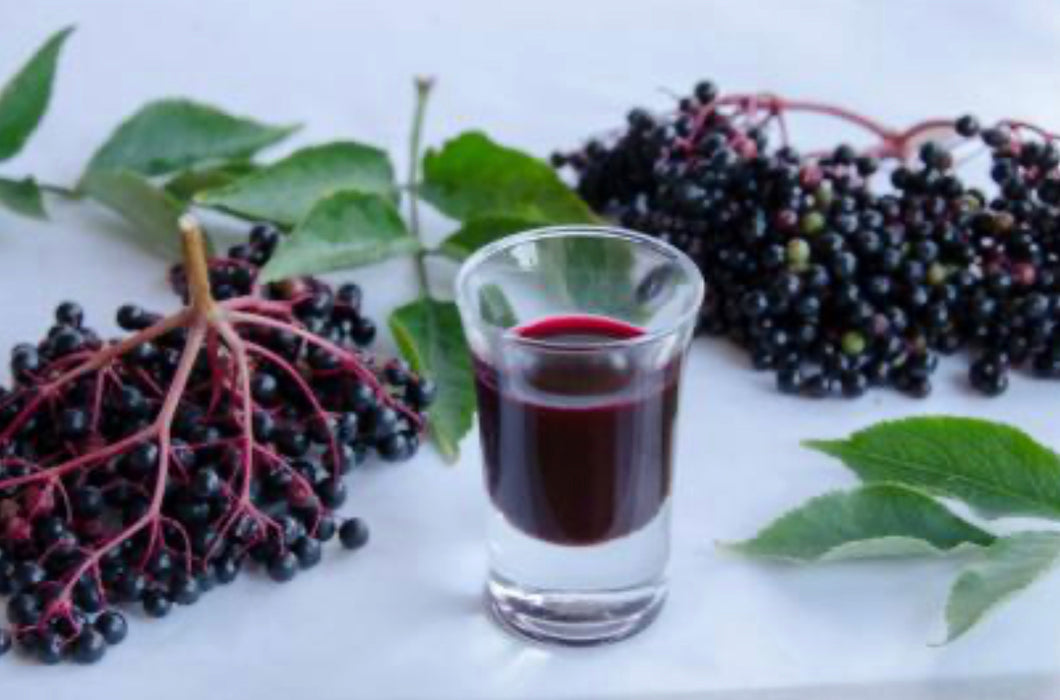 Elderberry Shot